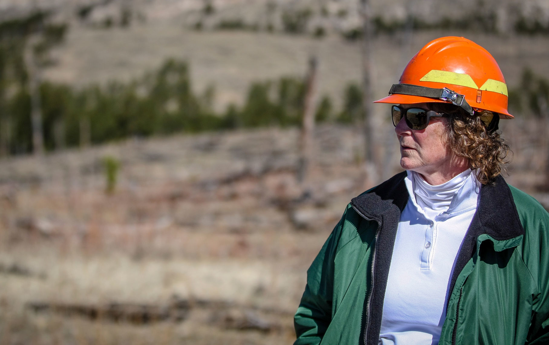 Jasper Fire Tree Planting